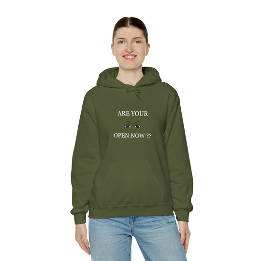 "Are Your Eyes Open Now?" Hooded Sweatshirt